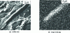 Figure 14 - Hydrogen trapping observed by scanning electron microscope autoradiography on an MnS inclusion in an E 36 steel. 