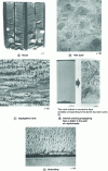 Figure 3 - Examples of internal hydrogen damage