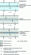 Figure 4 - Hydrogen enrichment mechanism in segregated zones, causing segregation cracks