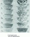 Figure 7 - Partial solidification gassing board proposed by Stahl MFG [19]