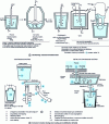 Figure 7 - Inclusion formation during steelmaking, casting and solidification