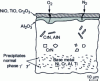 Figure 20 - Internal nitriding of a refractory superalloy with cracking