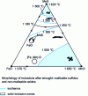 Figure 5 - Solid-state oxides and sulfides in liquid steel