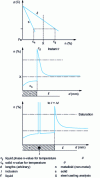 Figure 9 - Inclusion formation during solidification