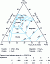 Figure 15 - Ternary diagram of ferroferric slag. Partial liquidus (Rey 1968)