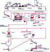 Figure 9 - Diagram of the ERAMET/SLN process at the Doniambo plant (New Caledonia) [15]