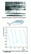 Figure 7 - Strain bands, separated by transition bands, in an aluminum crystal of initial orientation cube {001} <100> deformed in planar compression at , after Driver et al [48]