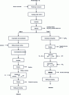 Figure 1 - Conventional routes for treating anodic copper electrorefining sludge and recovering selenium, from [20][21]