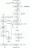 Figure 5 - Schematic diagram of El Paso plant (Phelps Dodge Refining Co., USA)