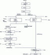 Figure 3 - Schematic diagram of the processing of Au-Sb ores from the Golden Meadows deposit