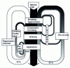 Figure 22 - Organization chart of recycling production in the United States [30]