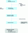 Figure 1 - Conventional procedure for obtaining a concentrate of molybdenite, the rhenium-bearing mineral