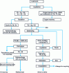 Figure 6 - Silver by-product of lead refining