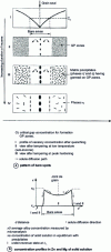 Figure 18 - Creation of precipitated solute-depleted zones by vacancy depletion and then solute depletion at grain boundaries in an Al-Zn-Mg system alloy 