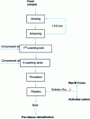 Figure 6 - Dynamic cyanidation diagram for the Rouez plant