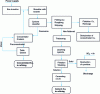 Figure 7 - Simplified schematic diagram of the Bousquet gold ore processing plant