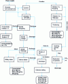 Figure 8 - Simplified schematic diagram of the Rio Narcea gold ore processing plant