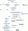 Figure 2 - Diagram of spodumene processing at Bernic Lake [5].