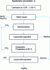 Figure 4 - Schematic diagram of the manufacture of Li2CO3 from spodumene concentrates in sodic carbonate medium [42].