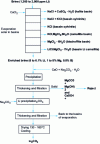 Figure 5 - Atacama brine processing diagram [46].