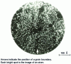 Figure 10 - Ion microscopy image of Fe-Ti alloy [US Steel BRENNER (S.S.) and MILLER (M.K.). –  Atomic Scale Analysis with the Atom Probe J. of Metals, march 1983, p. 54-63]