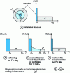 Figure 24 - Model of the theoretical evolution of the microstructure of steels
under intense and rapid thermal cycling [19].