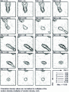 Figure 7 - Density function of FDO orientations for the texture of 90% cold-rolled ARMCO iron, plotted in sections at φ1 = const