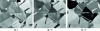 Figure 11 - Orientation contrast as a function
of sample tilt in a scanning ion microscope with a liquid metal field
ion source. The polycrystalline copper sample was imaged with Ga+ ion-induced electrons at 30 keV, and tilted around the x-axis
in 5° steps