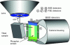 Figure 7 - Schematic setup of an EBSD detector
in the SEM. In addition to the physical semiconductor detectors (a,
b, c, c’) located around the EBSD phosphor screen, software provides
a virtual multi-array image detector. Four acquisition boxes on the
screen/sensor are shown here that relate to the collection of BSE
(marked in blue) and FSE (marked in green) signals