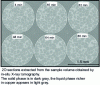 Figure 12 - Evolution of the microstructure of Al-15.8% Cu alloy during semi-solid holding at 555°C