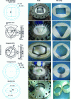 Figure 20 - Expansion hydroforming tools with different die cavities