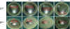 Figure 24 - Swelling to failure of circular and elliptical plates at different temperatures