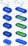 Figure 30 - Hydroformed part profiles: optimizing blank geometries