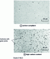 Figure 19 - Microstructure of stainless steel with two carbon contents
