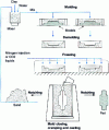 Figure 46 - Freeze molding: procedure diagram