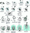 Figure 97 - General lost-wax casting method (J.P. Rama – Bronze d'art et ses techniques, ed. Vial)