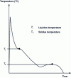 Figure 14 - Solidification curve for hypoeutectic graphite cast iron (temperature-time)