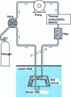 Figure 1 - Schematic diagram of dissolved hydrogen measurement in liquid steel