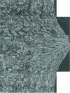 Figure 7 - Demonstration of alloy deformation in a cast-pressed arm