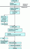 Figure 42 - Fettling operation flow chart