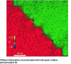 Figure 14 - Rotational field of an asymmetric flexural grain subjoint in olivine extracted by digital processing of a METHR image