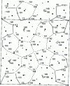 Figure 11 - Energy distribution at different sites of the Σ 29 torsion joint – 43.60° around <001> in aluminum and tree patterns representing fast diffusion paths. The symbols are the same as in figure 10. Very close pairs of higher-energy sites are indicated by two small parallel lines [44].