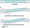 Figure 11 - Deformation of a lamellar microstructure consisting of a hard elastic phase (white) and an elastoplastic phase (cyan), subjected to mean simple shear loading in the (x, y ) plane, with periodicity conditions in both directions.