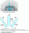 Figure 12 - Crack tip strain field in a face-centered cubic single crystal under plane strain conditions