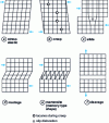 Figure 31 - Distorted crystal lattice