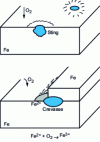 Figure 39 - Pitting and cracking: rust halo