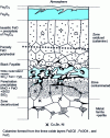 Figure 46 - Schematic of an oxidized steel surface (from IRSID)