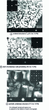 Figure 20 - Ordered structures in Cu-Pd alloys