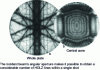 Figure 20 - Bright-field LACBED image of silicon along zone axis 114 (Source: Morniroli [20])
