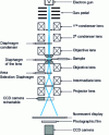 Figure 1 - Transmission electron microscope column diagram